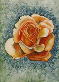 Die Rose ~ 35 x 47 cm ~ Aquarellfarben auf Papier